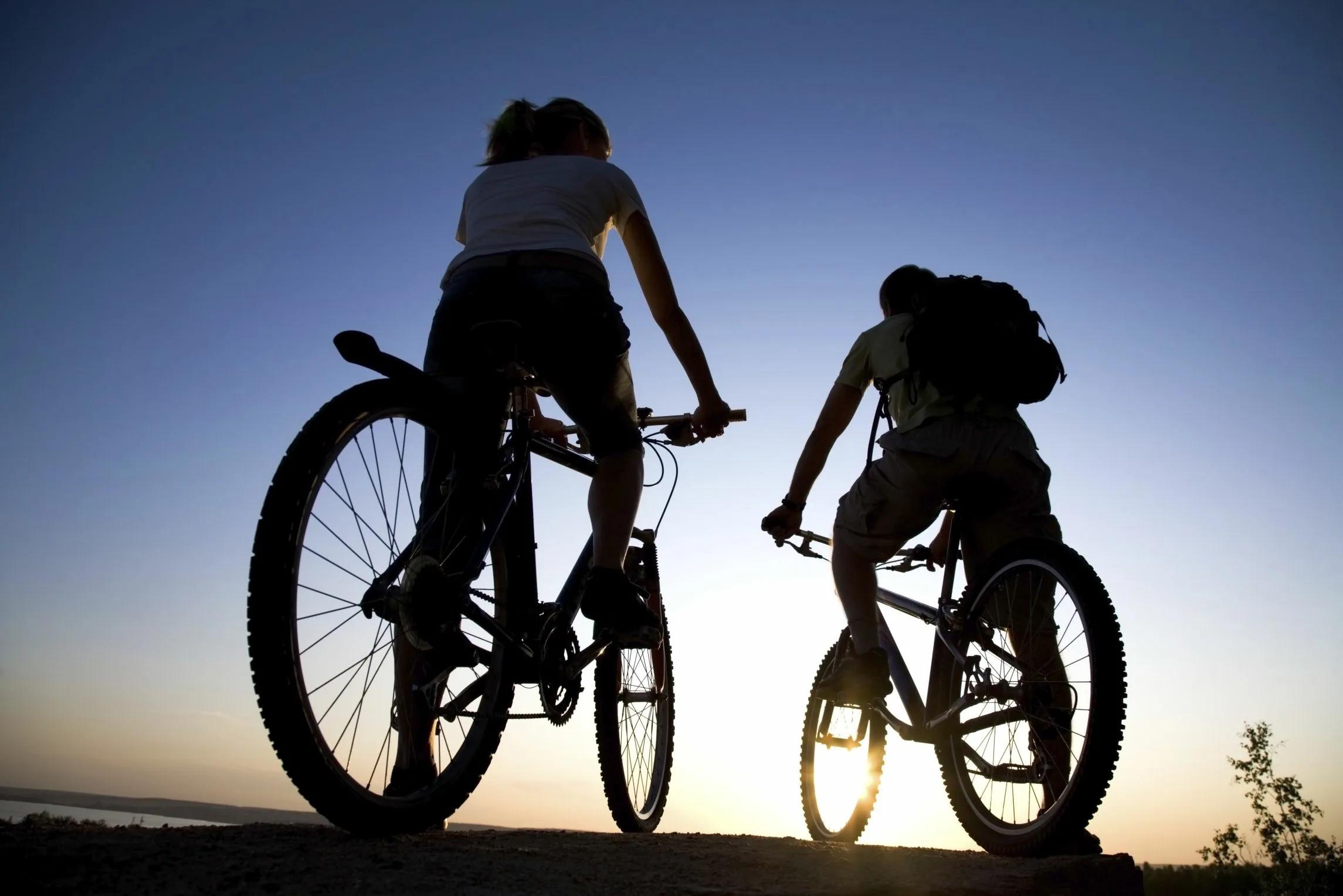 Bicycle trips with EuroViajex : freedom on two wheels